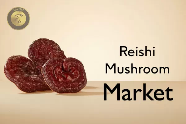 وضعیت بازار قارچ ریشی در جهان