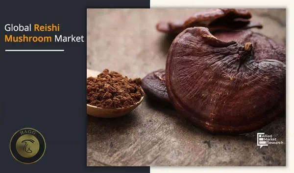 وضعیت بازار قارچ گانودرما در ایران و جهان