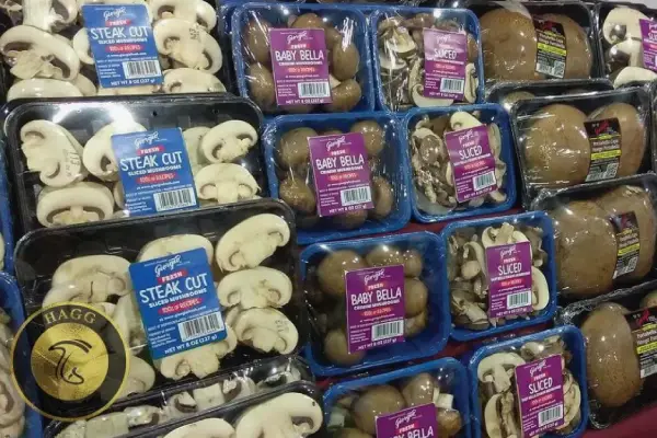 فروش انواع قارچها در دیگر کشورها