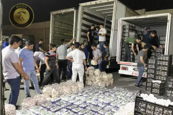 بورس قارچ تهران بازار فروش قارچ در تهران