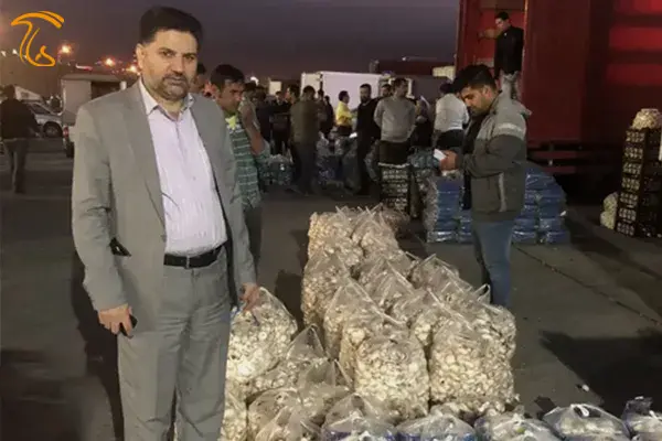 قارچ - بازدید - آقای صدیق پناه