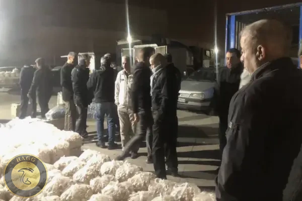 mehrabad-mushroom-major-distribution-center