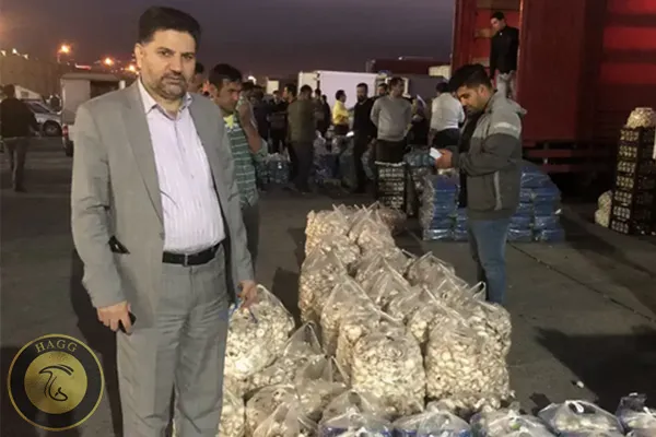 قارچ - بازدید - آقای صدیق پناه