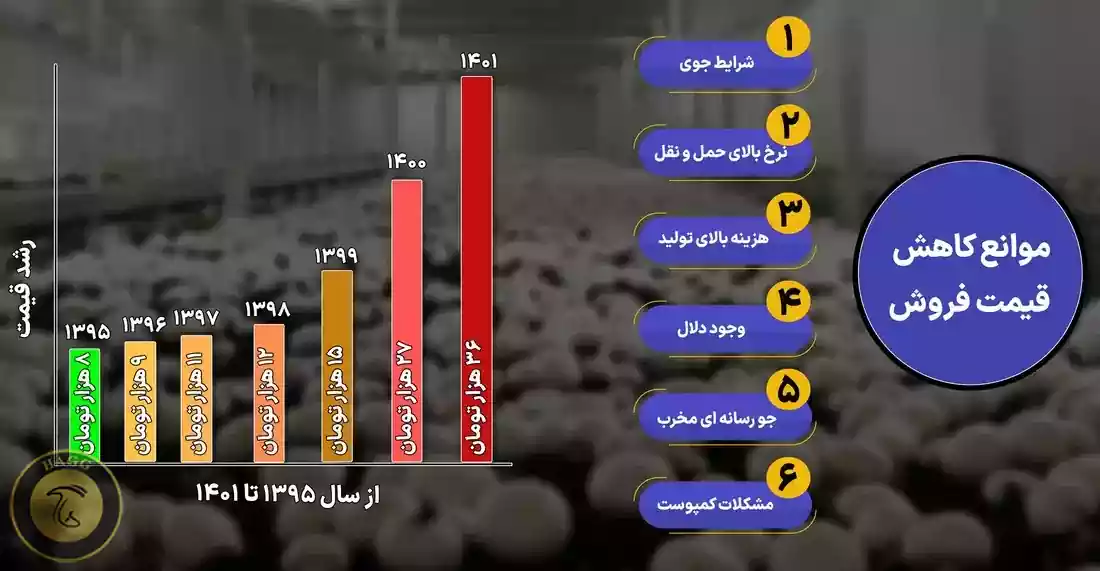 نمودار - قارچ