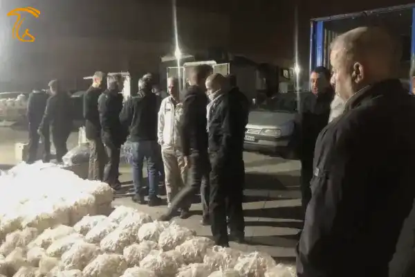 mehrabad-mushroom-major-distribution-center