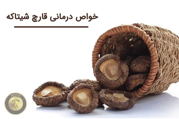 فواید درمانی و خواص قارچ شیتاکه برای سلامتی