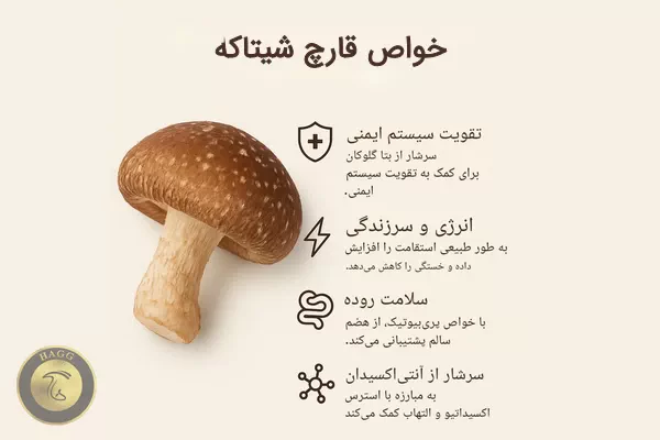 برخی از خواص قارچ شیتاکه برای سلامتی بدن