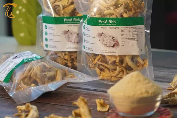 قارچ صدفی خشک