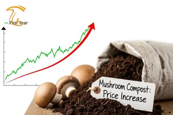 کمبود کمپوست قارچ و افزایش قیمت آن در نتیجه کمبود کلش گندم