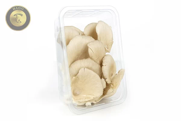 استاندارد بسته بندی قارچ صدفی