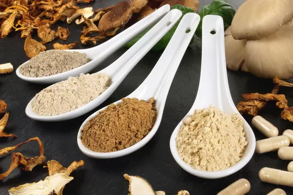 صنایع تبدیلی قارچ صدفی - پودر و مکمل قارچ صدفی