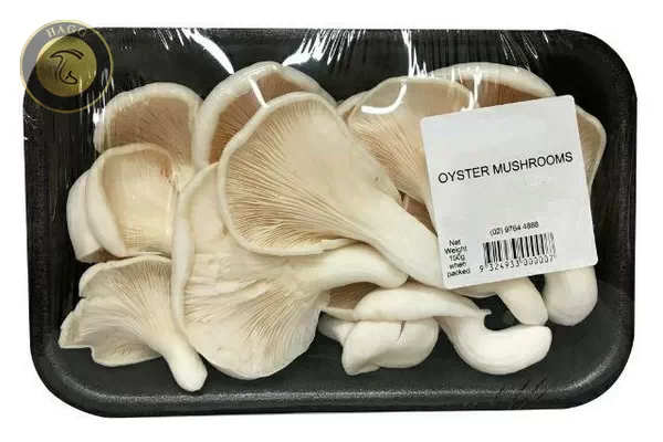 بسته بندی قارچ صدفی