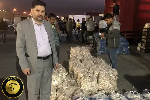 قارچ- بازدید-آقای صدیق پناه