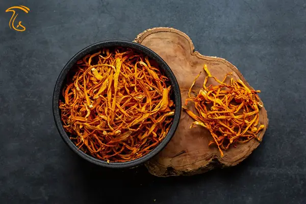 ارزش غذایی، خواص و فواید قارچ کوردیسپس