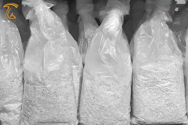 انواع بذر قارچ دکمه ای بر اساس رنگ و ظاهر