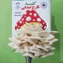 تجاری سازی یک طرح خلاقانه پرورش قارچ صدفی در منزل کلبه قارچ صدفی