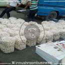 نرخنامه سازمان میادین میوه و تره بار 1400