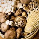 پرورش قارچ های اگزوتیک