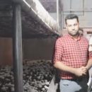 بازدید معاون اقتصادی استاندار از 8 واحد پرورش قارچ