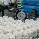 ده چالش‌ صنعت قارچ را بررسی کنید