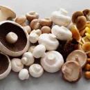 14 نوع قارچ خوراکی