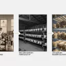 تاریخچه قارچ صدفی