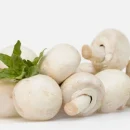 قارچ چه خاصیتی دارد؟ خاصیت‌های دارویی قارچ سفید برای سلامتی بدن