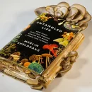 کتابخانه قارچ - معرفی کتاب با موضوع قارچ و مسائل مرتبط با آن بهترین کتاب های قارچ سال 2023