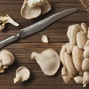 بسته بندی و نگهداری قارچ های صدفی