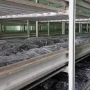 وزن کمپوست در هر متر مربع - هر متر مربع چقدر کمپوست لازم است؟