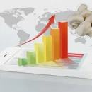 نمودار و میانگین قیمت قارچ سال 1401