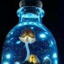 تعبیر خواب قارچ چیست؟