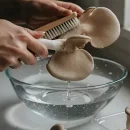 تمیز کردن و شستشن قارچ صدفی