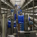 کشت قارچ با تکنولوژی