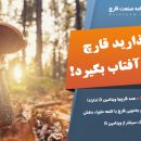 قارچها منبع بسیار خوبی از ویتامین D هستند