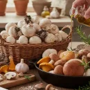 تولید قارچ های خوراکی