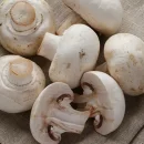 توليد سالانه ۳۵۰ تن قارچ در آمل