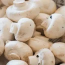 حمله به ذخایر ژنتیکی کشور