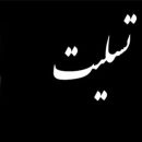 نام های جاودان صنعت قارچ