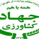ارزآوری ۴۰ میلیون دلاری صادرات گل و گیاهان زینتی ایران