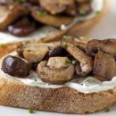 آموزش آشپزی با قارچ - طرز تهیه تست قارچ خامه ای - غذای گیاهی