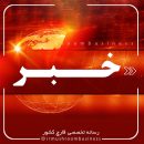 قیمت کمپوست قارچ و شرایط بازار