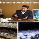 ورود انجمن پرورش دهندگان قارچ خوراکی به صدور پروانه‌ها