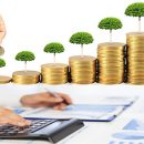 تسهیلات برای تولیدکنندگان قارچ