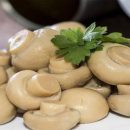 آموزش آشپزی با قارچ هاگ - طرز تهیه کنسرو قارچ خانگی