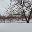 کاهش دما در خلخال، جلوگیری از خسارت به سالن های پرورش قارچ
