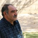 از مصرف قارچ پرورشی نترسید