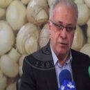 سخنان آقای ریاحی در نشست خبری قارچ‌های سمی قارچ پرورشی سمی نیست