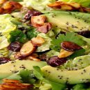 آموزش آشپزی با قارچ - طرز تهیه سالاد آواکادو و قارچ - غذای گیاهی