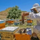 عکس مربوط به مقاله خبری ۲۰ میلیارد تسهیلات اشتغال‌زایی در شهرستان اندیکا در سال 97 است